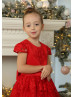 Cap Sleeves Red Lace Flower Girl Dress Christmas Dress